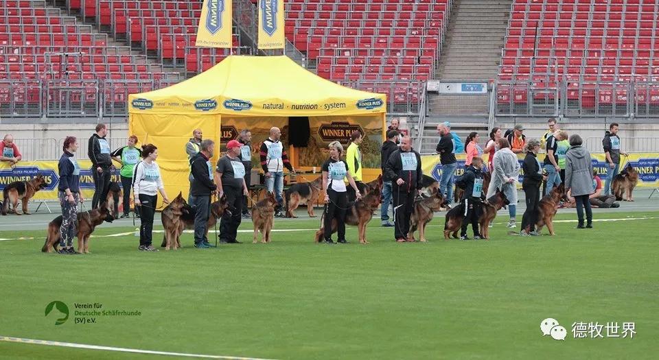 开云体育官网-3d两胆必下一胆9对9